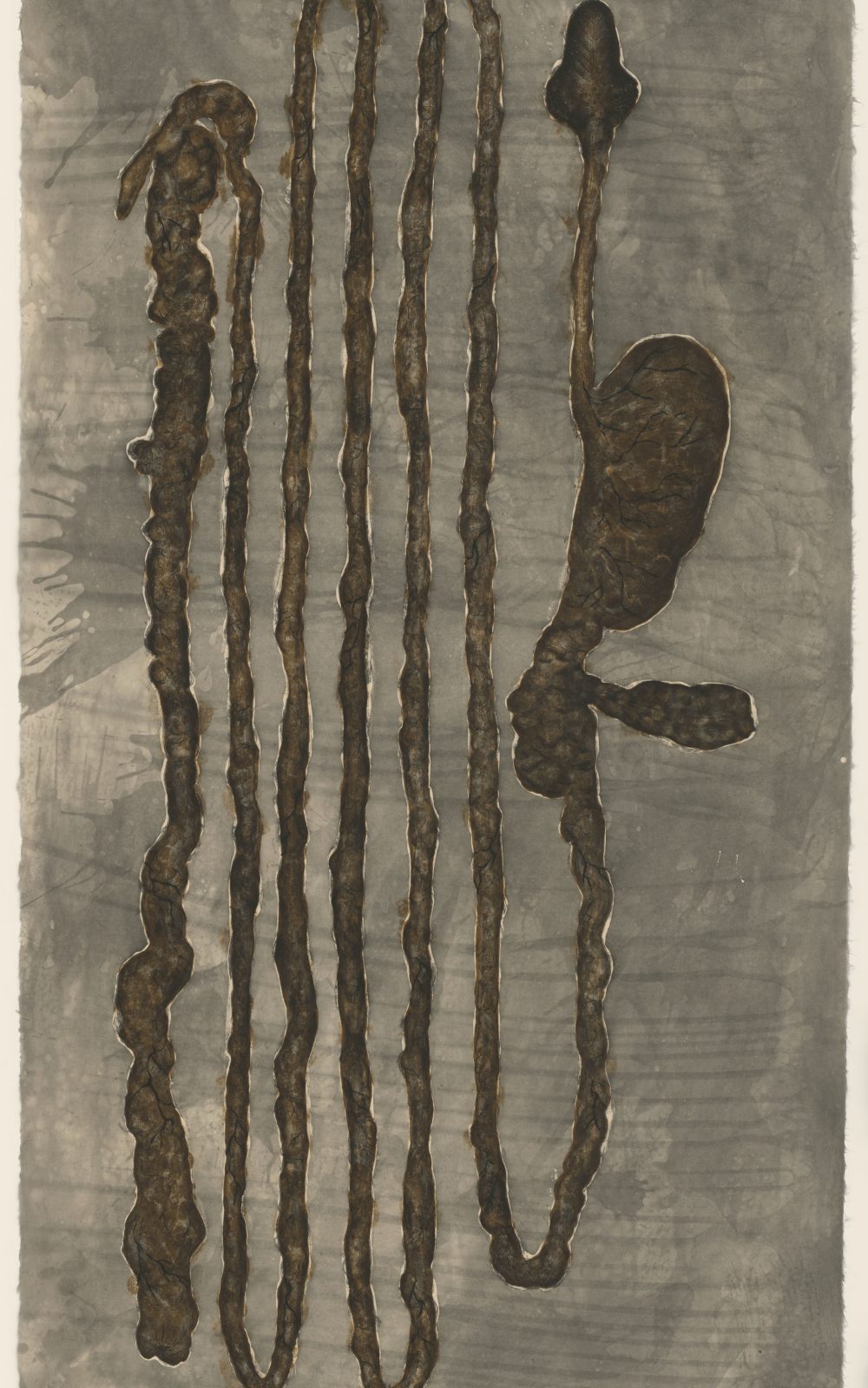 Kiki Smith, 1993, Radierung und Aquatinta auf japanischem Echizen Kouzo Kizuki-Papier, 1855 x 919 mm, Staatliche Graphische Sammlung München, Schenkung der Künstlerin © Kiki Smith, courtesy Pace Gallery