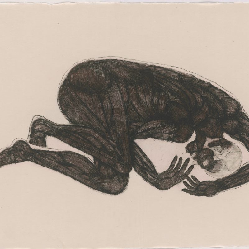 Kiki Smith, *1954 Sueño, 1992, Radierung auf Aquatinta auf handgeschöpftem Echizen-Kouzo-Kizuki-Papier, 1057 x 1940 mm Inv.-Nr. 2018:67 D