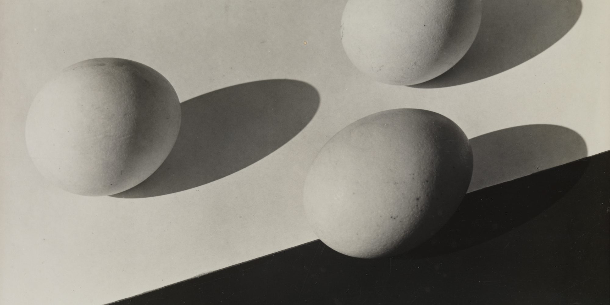 Aenne Biermann, Eier, 1931, Silbergelatine-Abzug, 17 x 23,9 cm, Foto: Sibylle Forster, Stiftung Ann und Jürgen Wilde, Pinakothek der Moderne, München