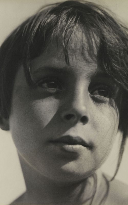 Aenne Biermann Pinakothek der Moderne