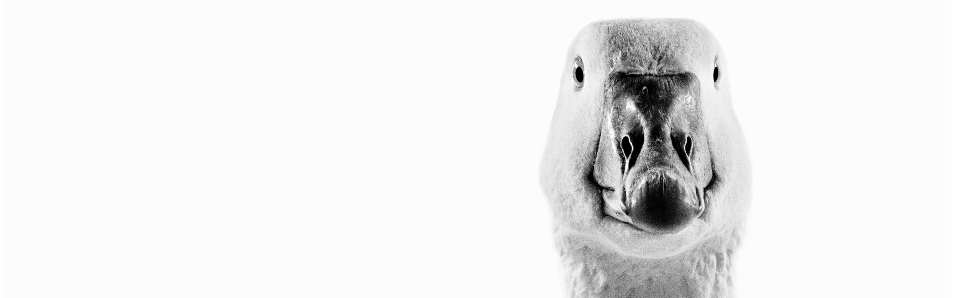 PRINZIP ATLAS ǀ WALTER SCHELS Pinakothek der Moderne